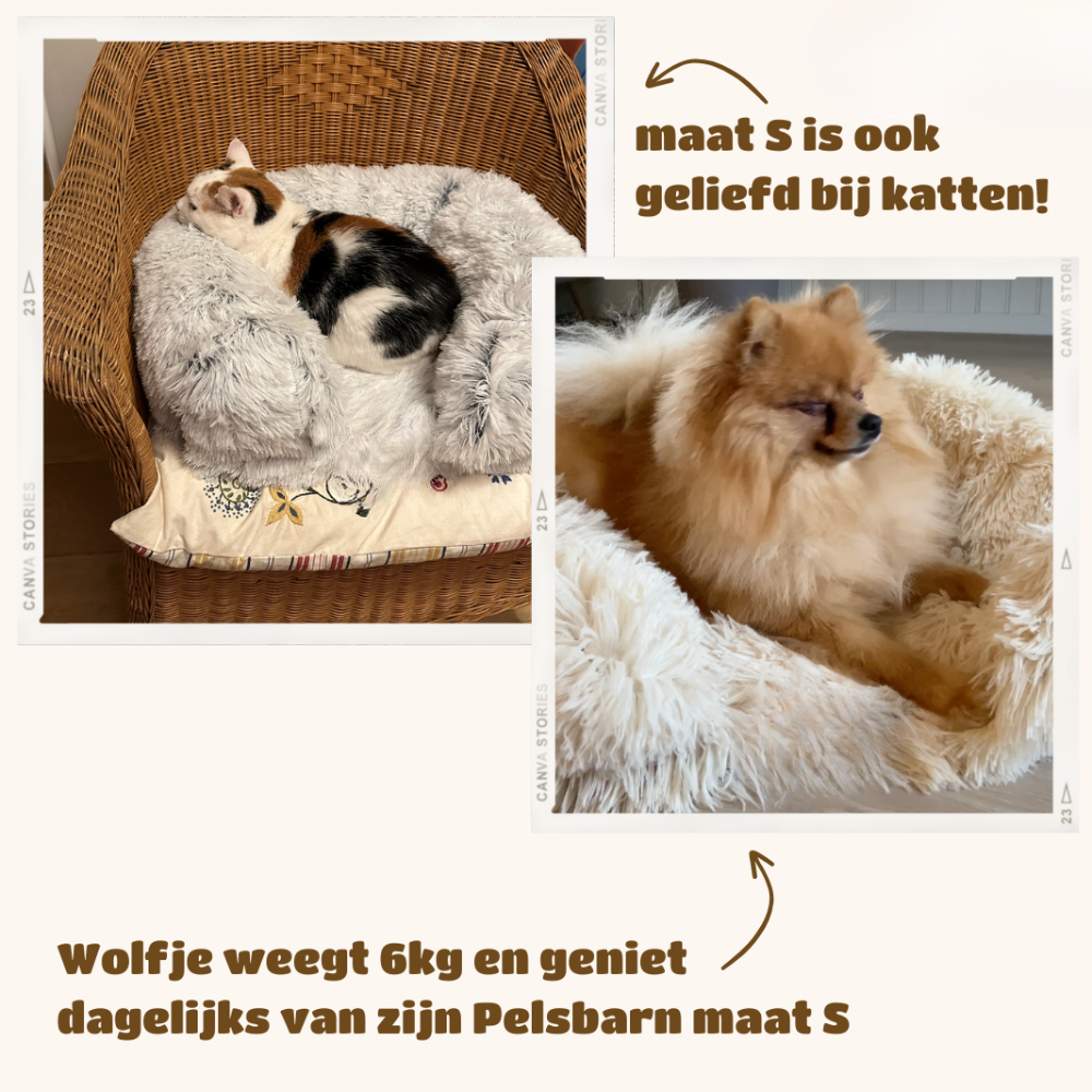 Orthopedisch Hondenbed Extra Ondersteuning voor Honden