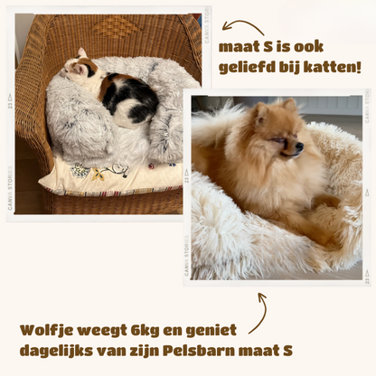 Orthopedisch Hondenbed Extra Ondersteuning voor Honden