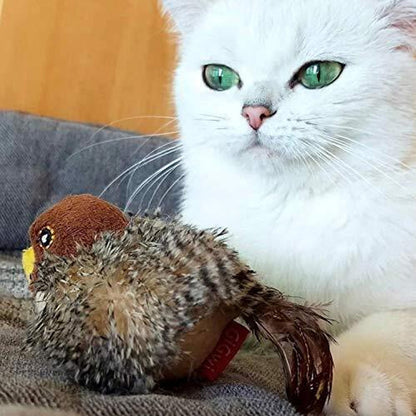 Katten Speelkameraad Veilig Interactief voor Kattenvermaak