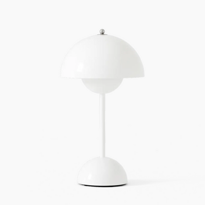 LED Lamp Moderne Soepvorm Dimbaar Luxe Design