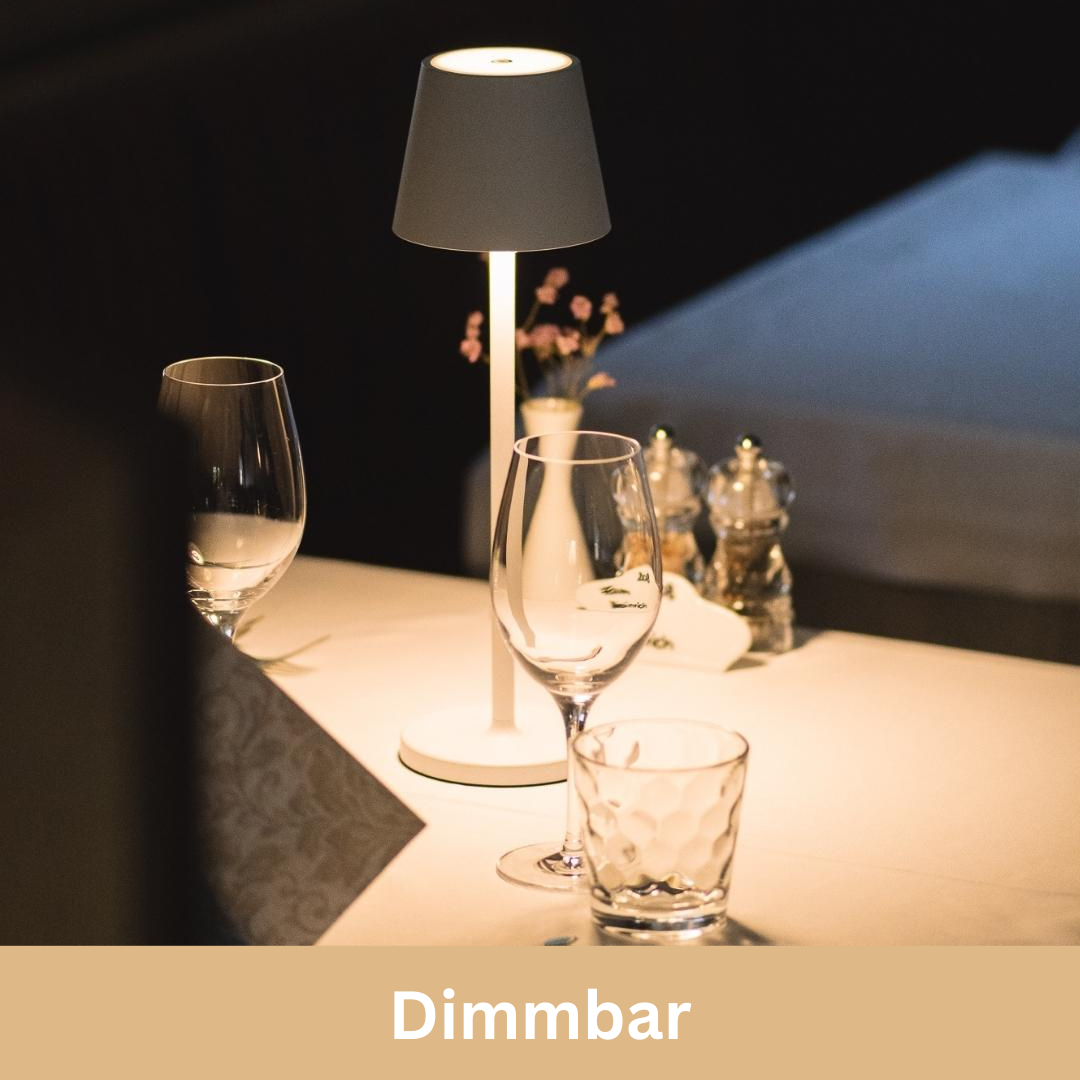 LED Lamp Aanraakgevoelig Dimbaar