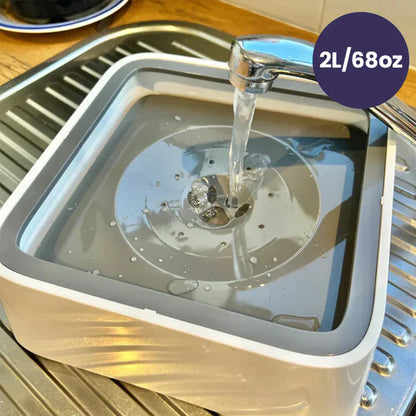 AquaFloat™ – De Slimme Anti-Lek Drinkbak voor Honden