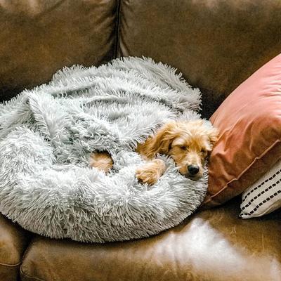 Honden Kussen Zacht voor Ontspannen Slaap