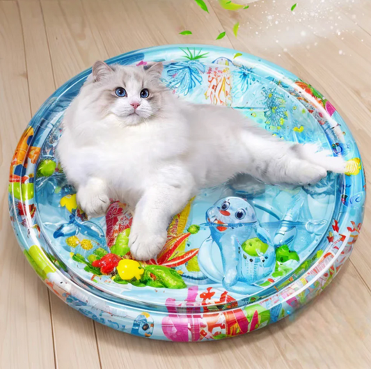 Kattenspeelmat Duurzaam Speelplezier voor Katten - Velinix