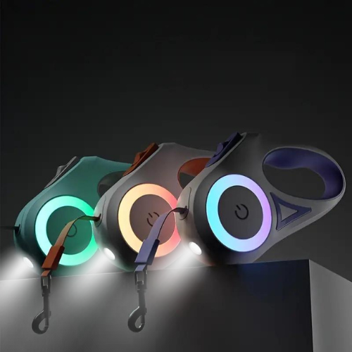 LED Hondenriem voor Nachtelijke Wandelingen Veilig en Zichtbaar