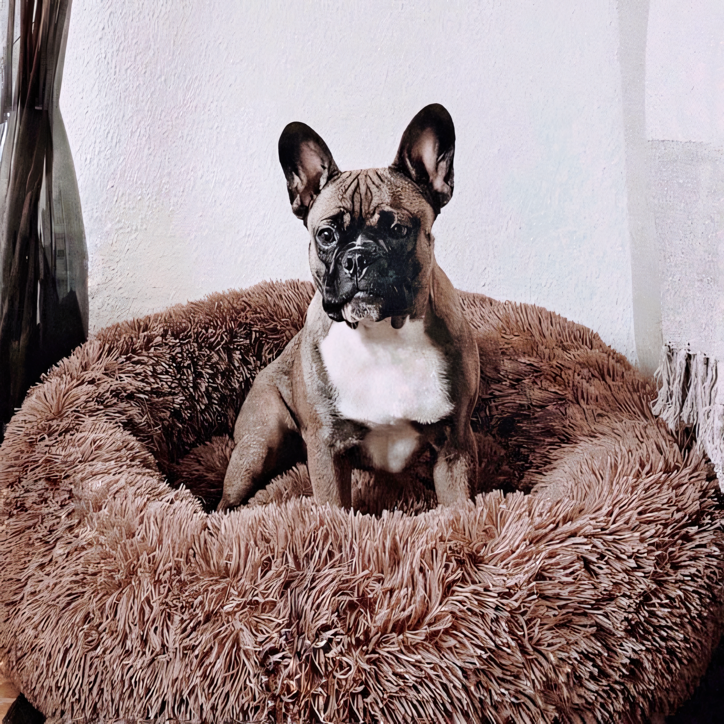 Hondenbed Comfortabel Orthopedisch voor Honden met Geborgenheid - Velinix