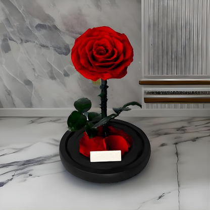 Romantische Glazen Stolp voor Rozen, Langhoudend Cadeau - Velinix