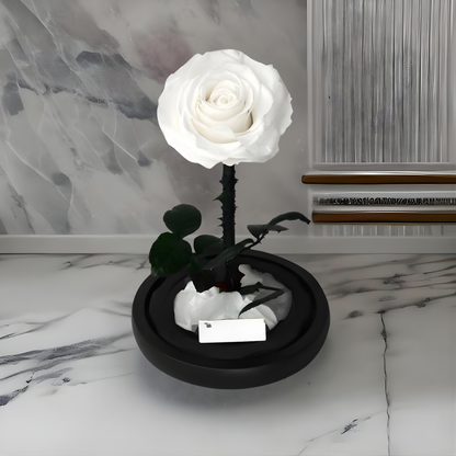 Romantische Glazen Stolp voor Rozen, Langhoudend Cadeau