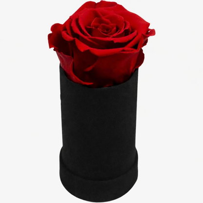 Rozen Rode Suede Kussensloop Romantisch Decoratief Cadeau
