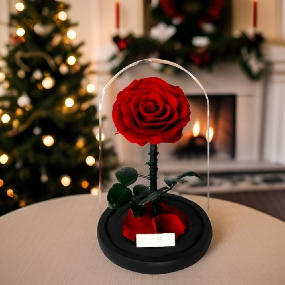 Romantische Glazen Stolp voor Rozen, Langhoudend Cadeau