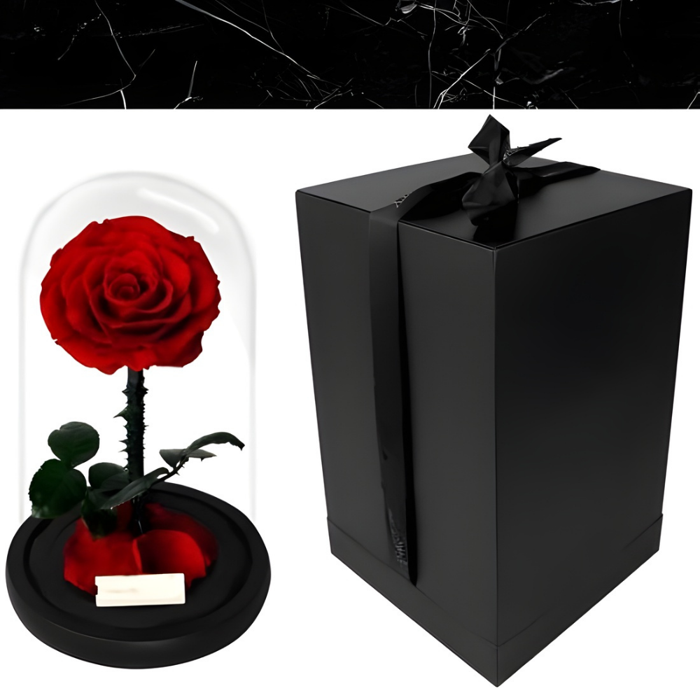 Romantische Glazen Stolp voor Rozen, Langhoudend Cadeau
