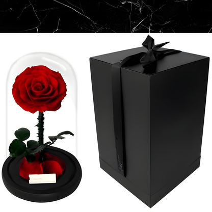 Romantische Glazen Stolp voor Rozen, Langhoudend Cadeau