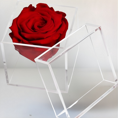 Rozen Hart Decoratie Acryl Langhoudend Romantisch Cadeau