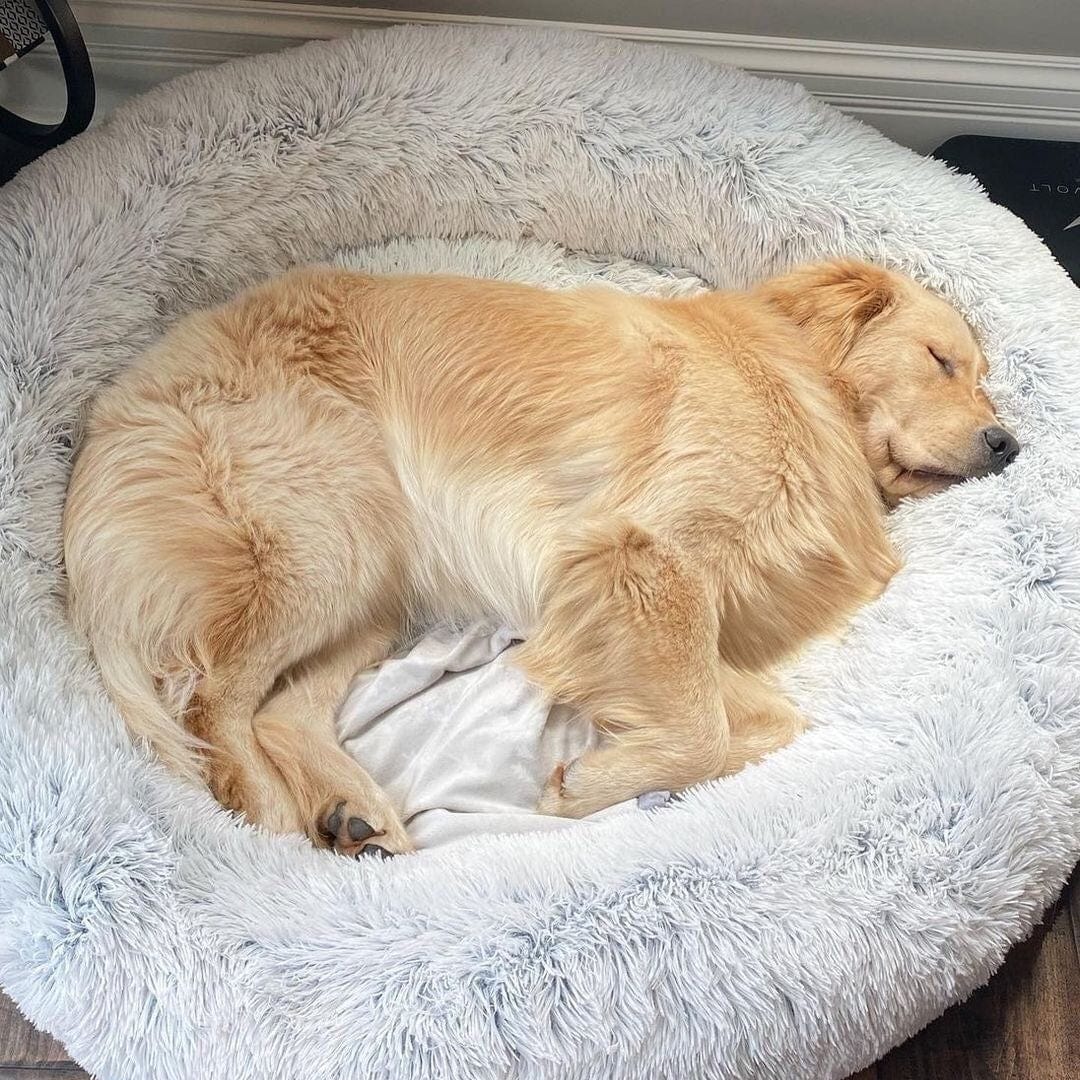 Zachte Fleece Beddeken voor Ontspanning - Velinix