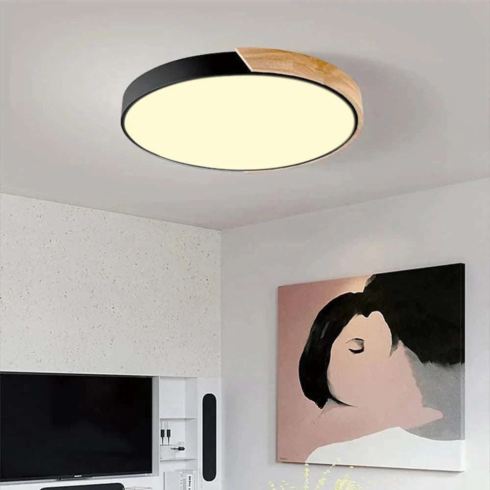 Ronde LED Plafondlamp met Kleurverandering