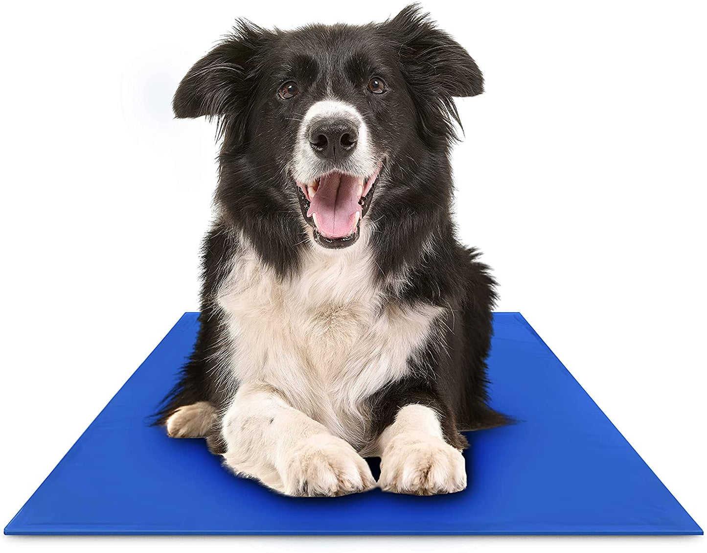Koelmat voor Honden en Katten Zelfkoelend en Draagbaar