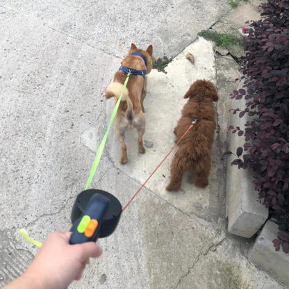 Dubbele Hondenriem met LED Licht Intrekbare Leash