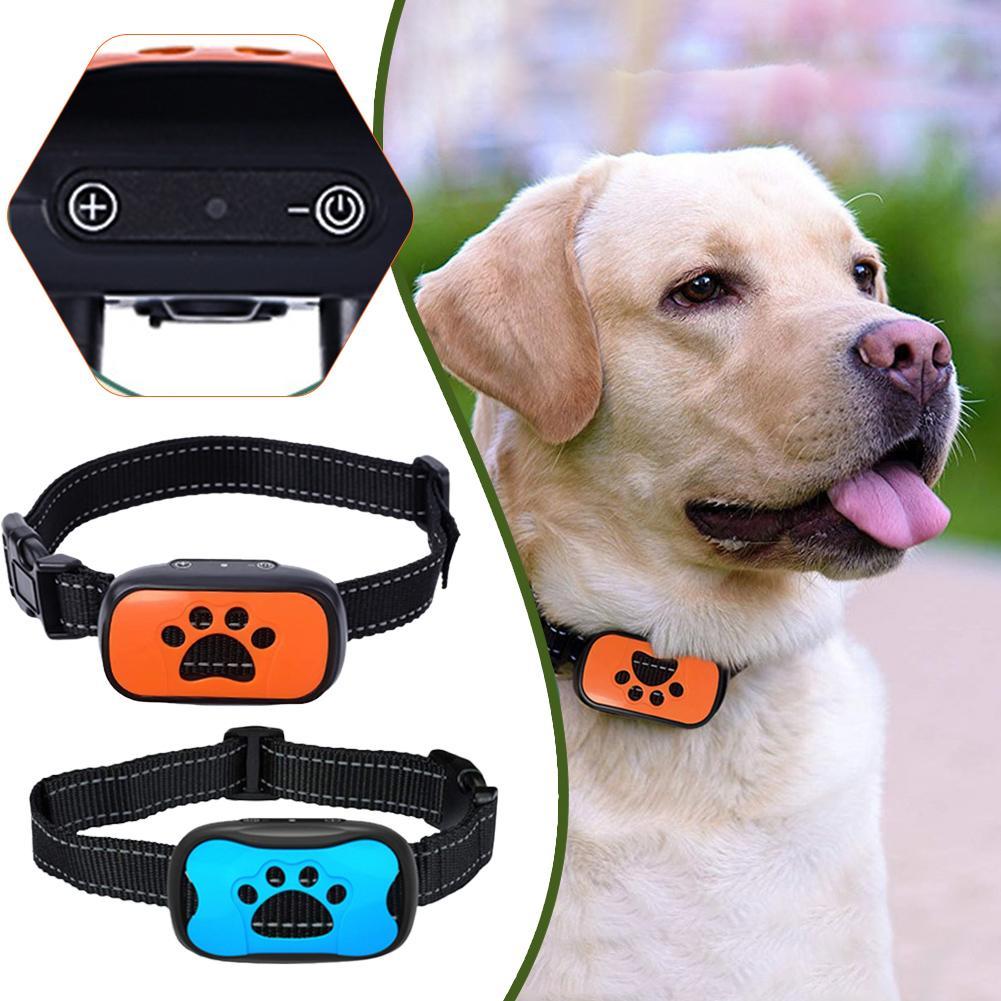 Halsband Anti Blaffen voor Honden Traineren