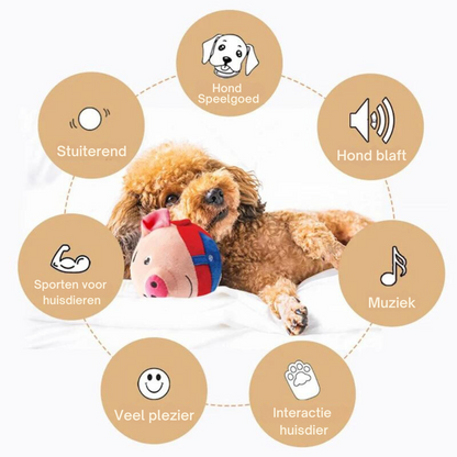 Hondenspeeltje Slim Interactief Beweegbaar voor Actieve Honden