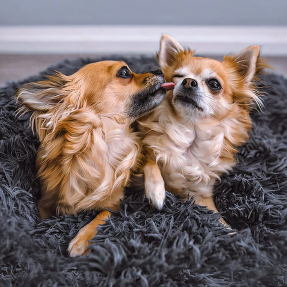 Hondenbed Comfortabel Orthopedisch voor Honden met Geborgenheid