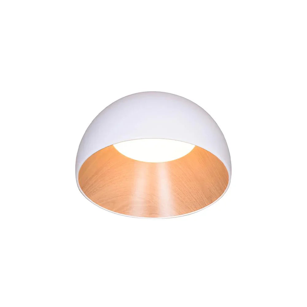 Stijlvolle LED Plafondlamp Modern Design Duo