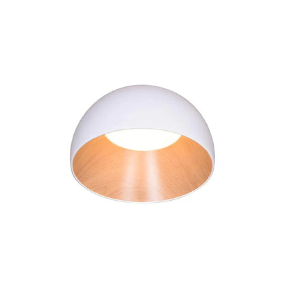 Stijlvolle LED Plafondlamp Modern Design Duo