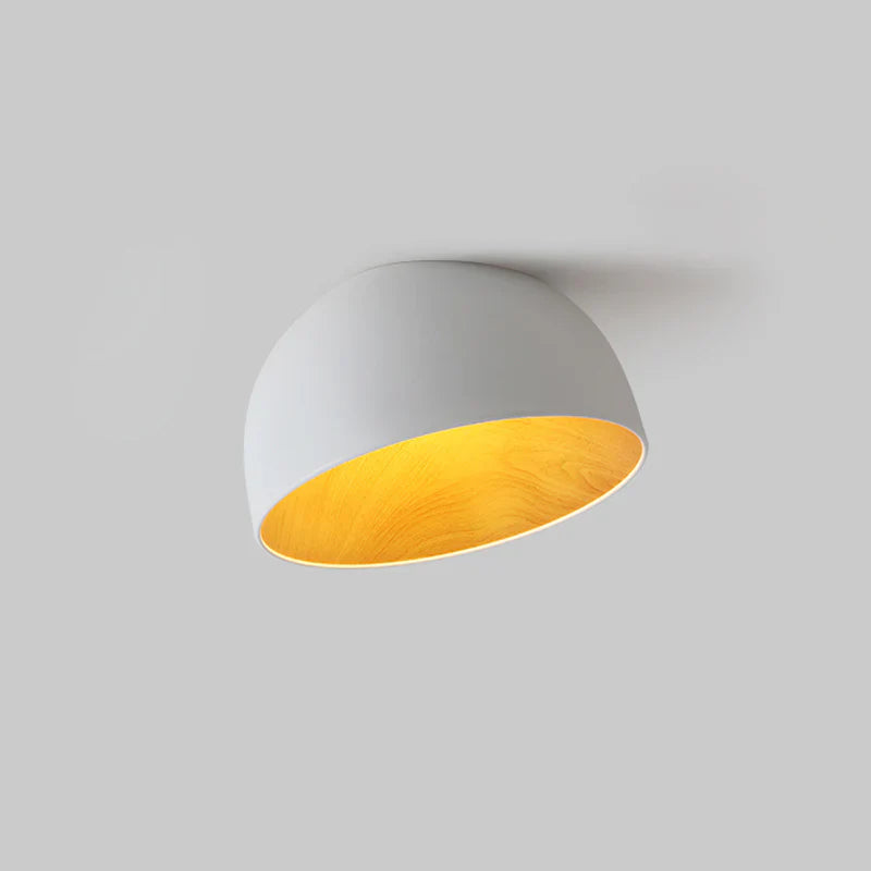 Stijlvolle LED Plafondlamp Modern Design Duo