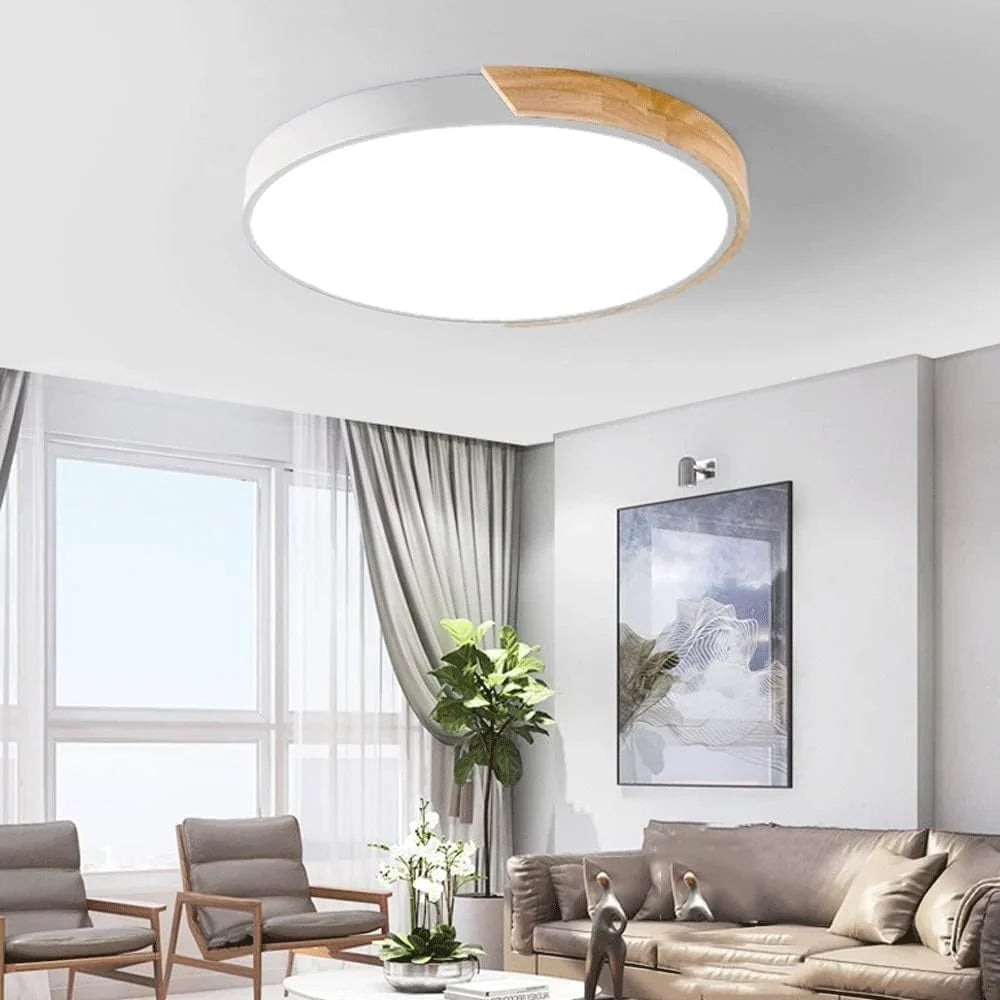 Ronde LED Plafondlamp met Kleurverandering