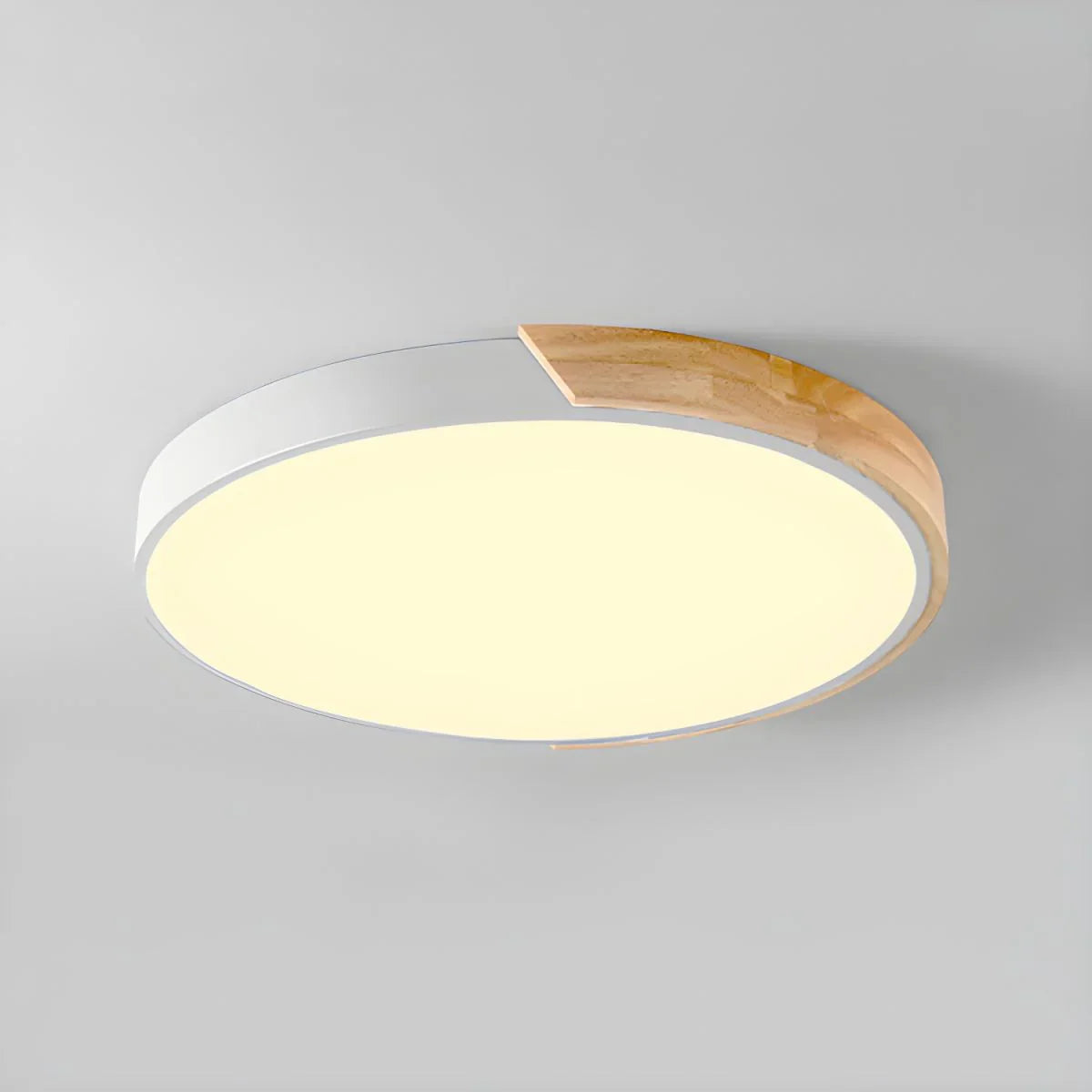 Ronde LED Plafondlamp met Kleurverandering
