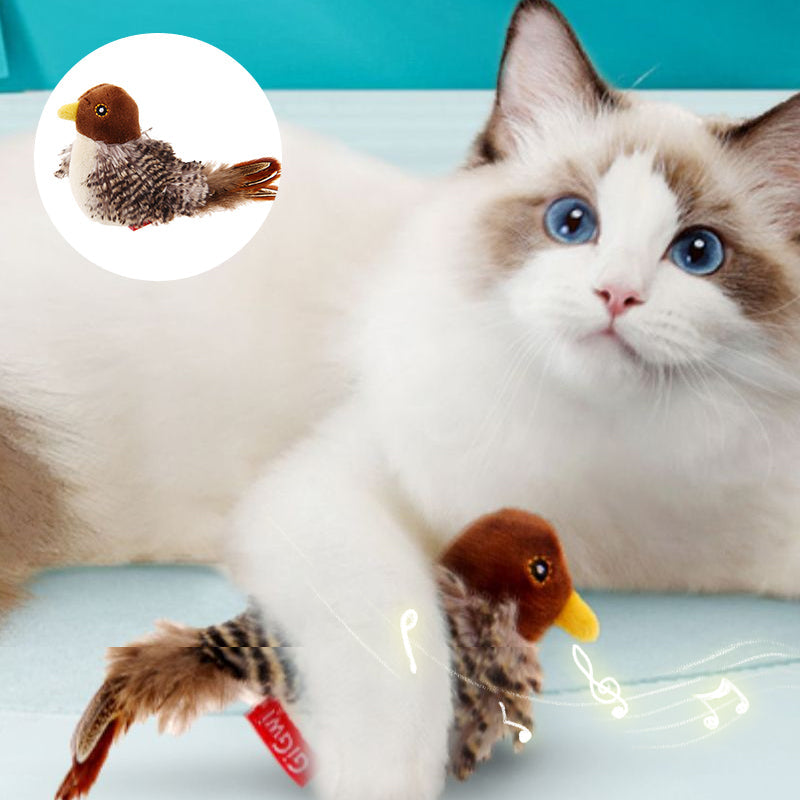 Katten Speelkameraad Veilig Interactief voor Kattenvermaak