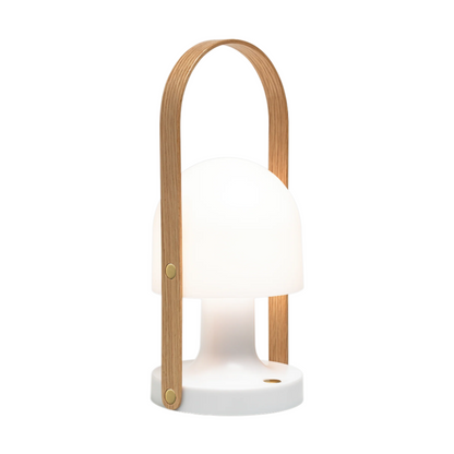 Draagbare LED Lampen Mobiel en Waterdicht - Velinix