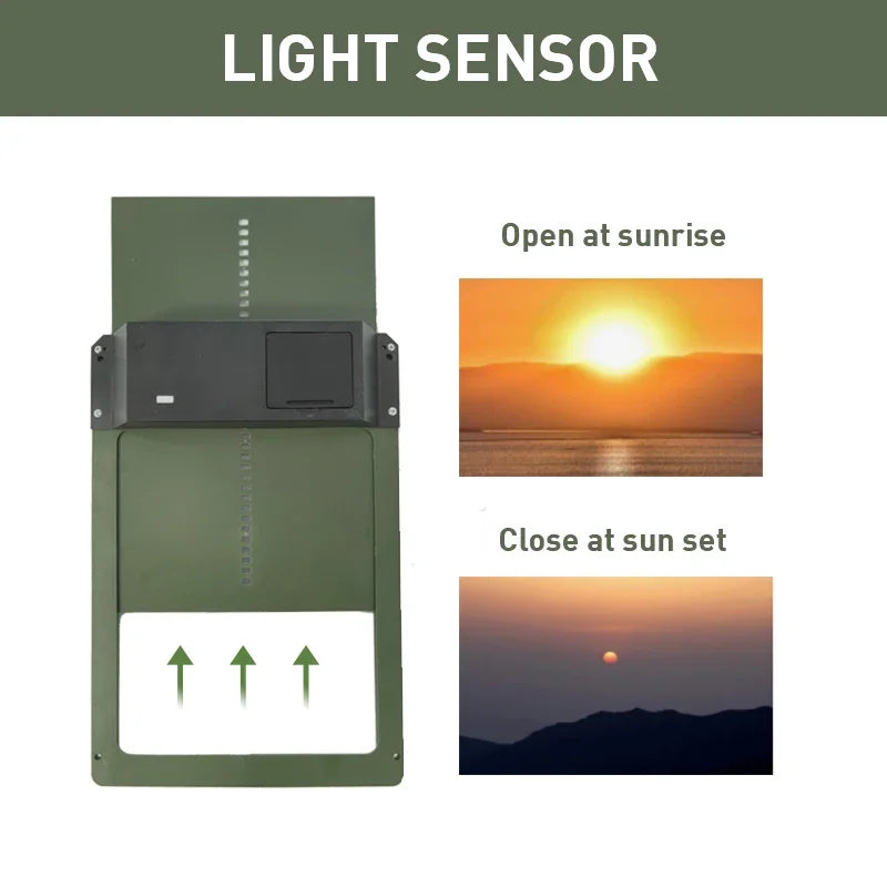 Farmora Automatische Kippenhokdeur – Weerbestendige Deur met Sensor & Timer 8