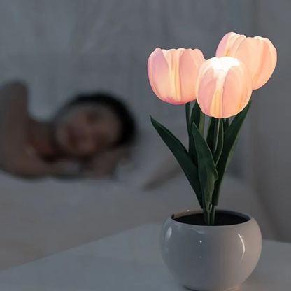 LED Lamp Forallamp Dimbaar Modern Design