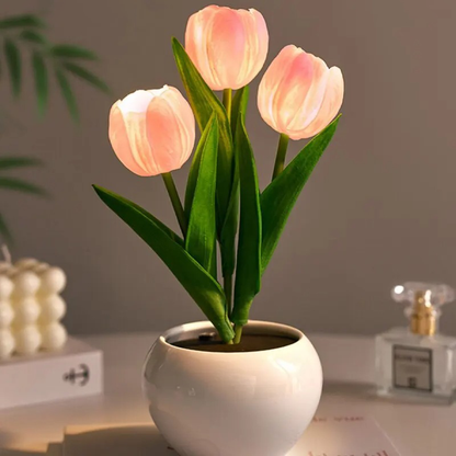 LED Lamp Forallamp Dimbaar Modern Design