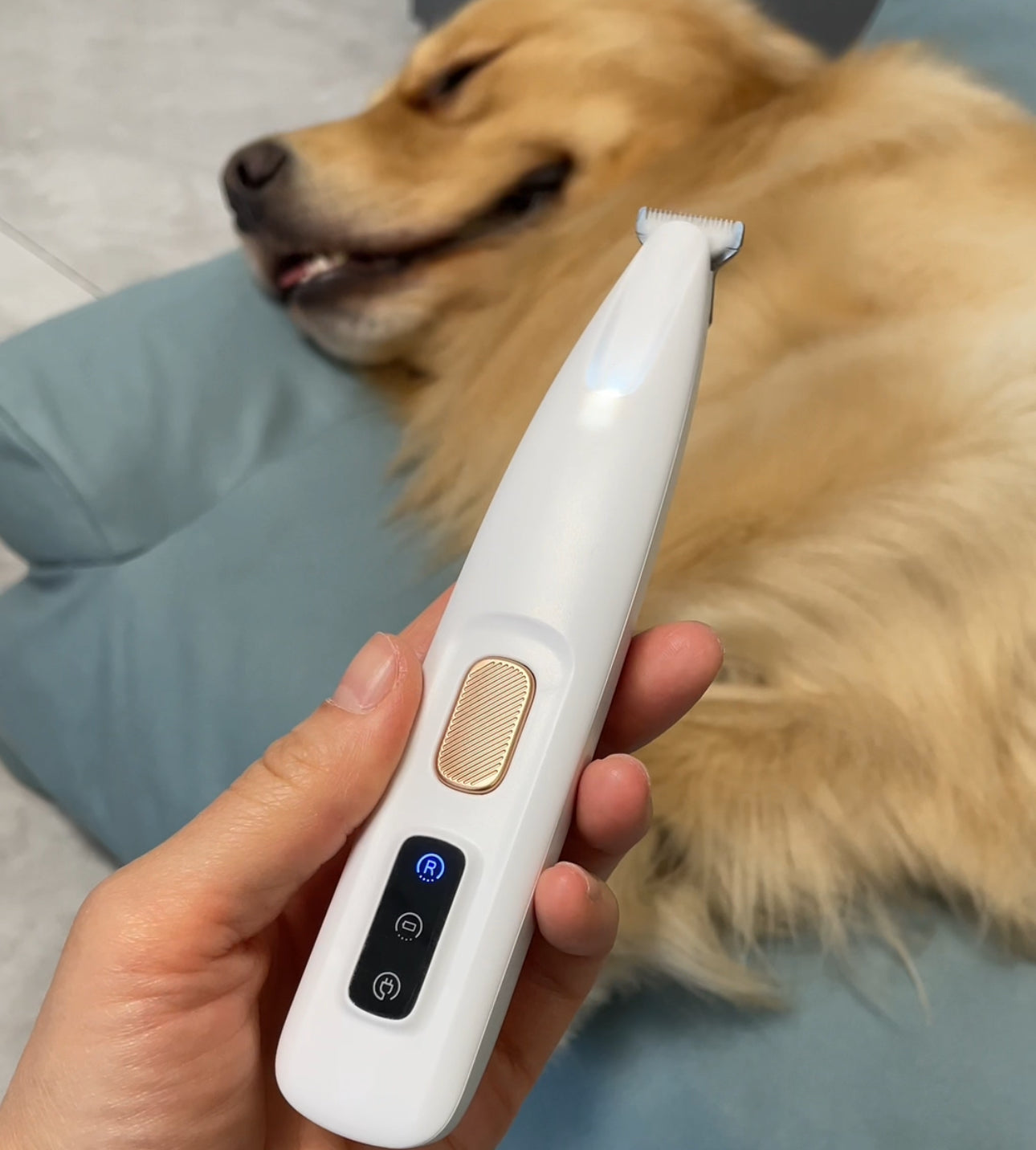 Vachtverzorging Kit voor Huisdieren Gemakkelijk en Effectief - Velinix