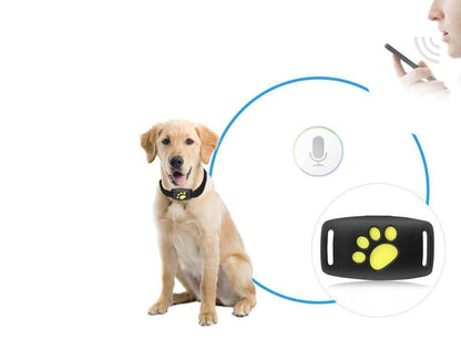GPS Tracker voor Honden en Katten - Compact en Waterdicht met Live Locatie
