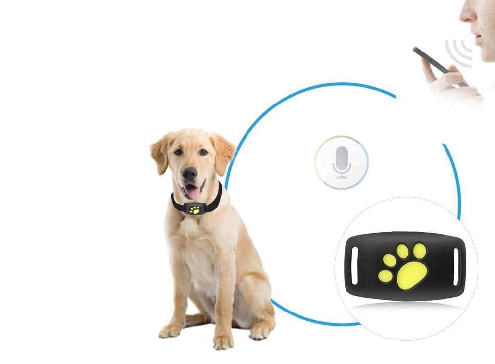 Kat GPS Tracker Realtime Locatie Tracker Zonder Abonnement