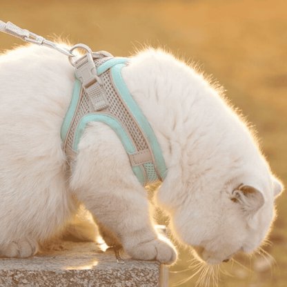 Katten T-shirt Verstelbaar - Ademend en Ontsnappingsbestendig voor Buiten