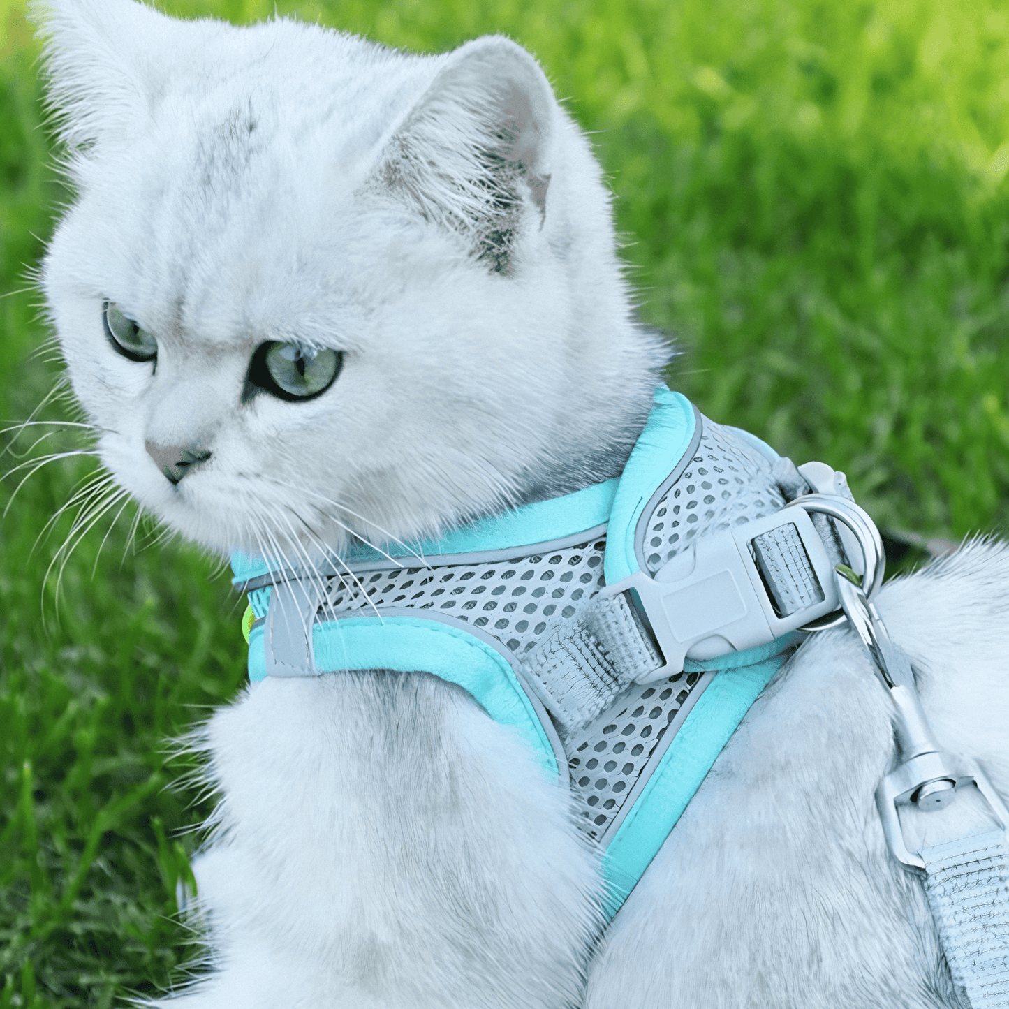 Katten T-shirt Verstelbaar - Ademend en Ontsnappingsbestendig voor Buiten - Velinix
