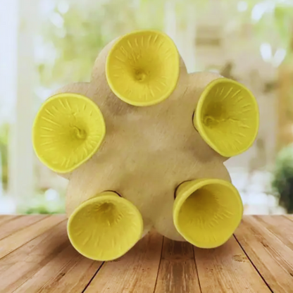 Bijvriendelijke Waterbak voor Tuin en Tuinpaddenstoelen