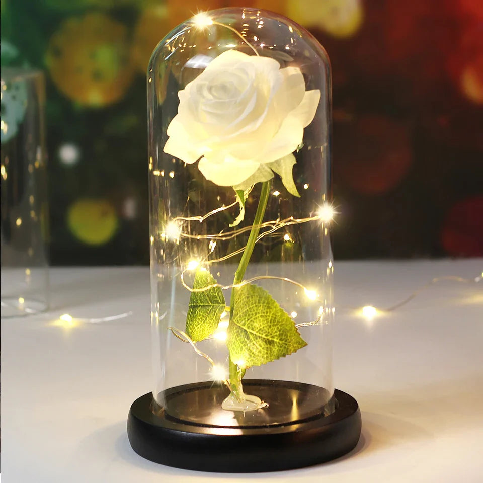Romantische Kaarsen met Timeless Design