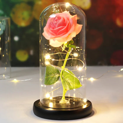 Romantische Kaarsen met Timeless Design