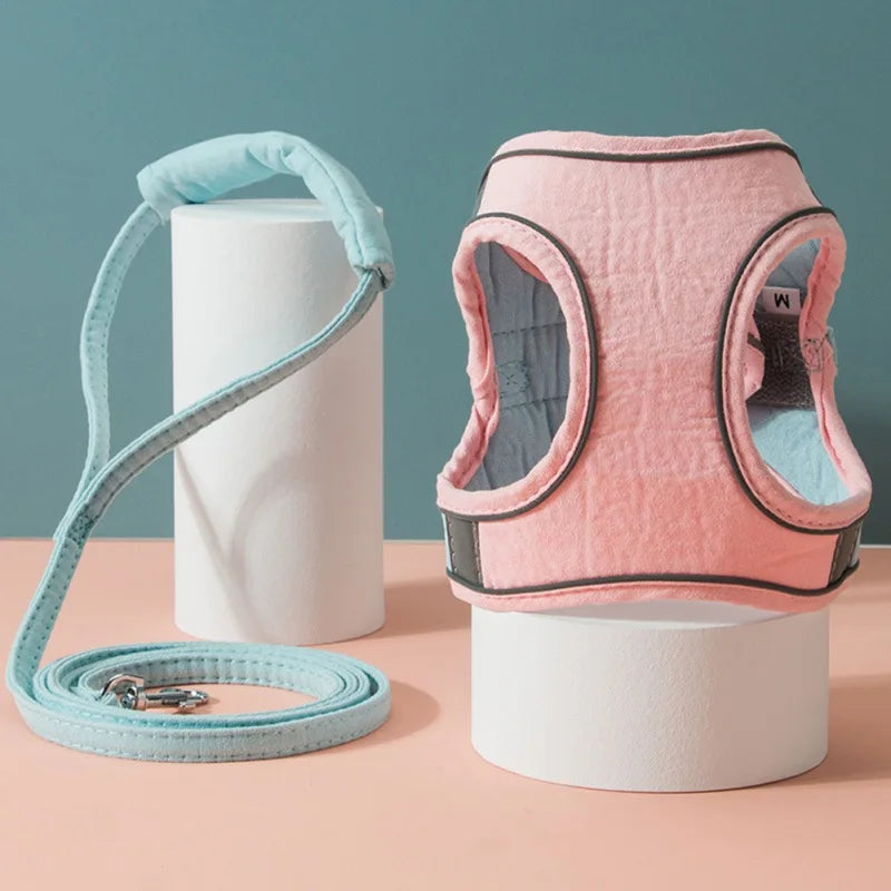 Comfortabele trapsteun voor honden