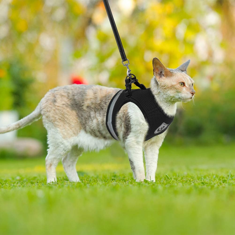 Kattenharnas Reflecterend Veilig voor Avondwandelingen
