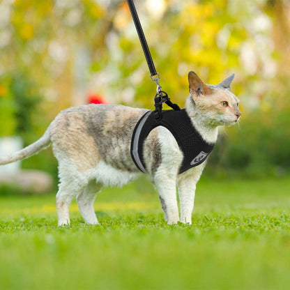 Kattenharnas Reflecterend Veilig voor Avondwandelingen