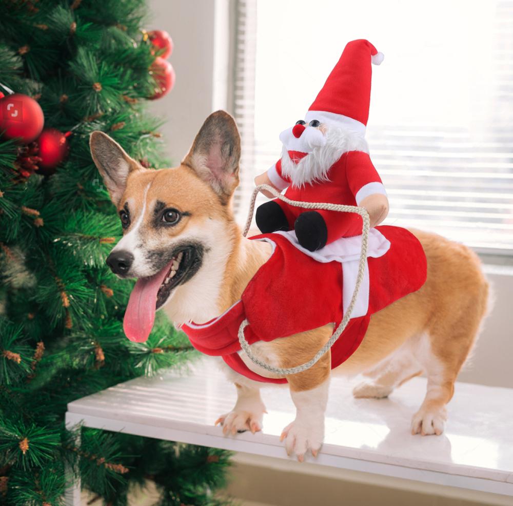 Kerstoutfit Honden - Knus en Verstelbaar Kerstpakje