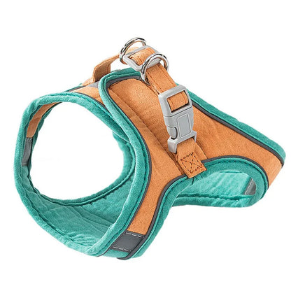 Comfortabele trapsteun voor honden