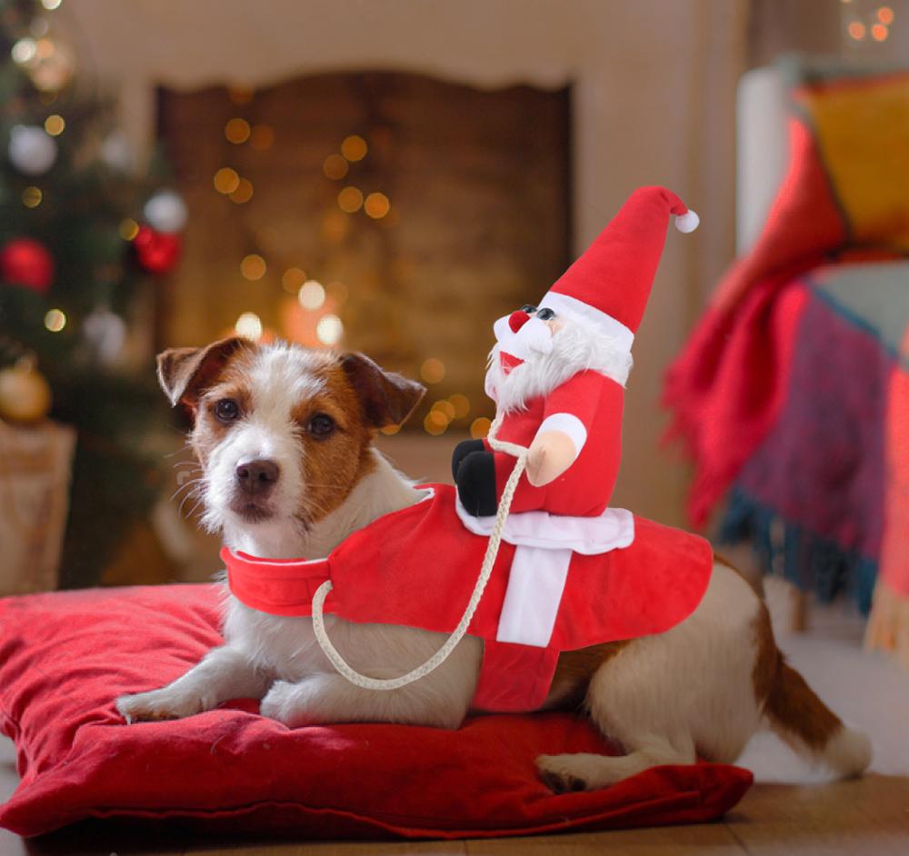 Kerstoutfit Honden - Knus en Verstelbaar Kerstpakje