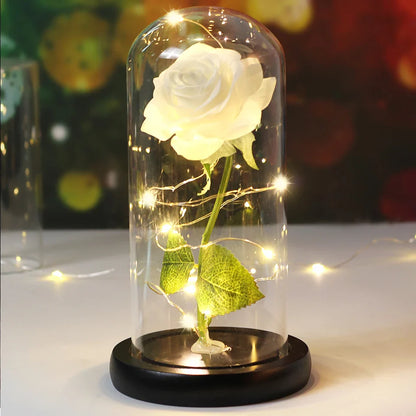 Romantische Kaarsen met Timeless Design