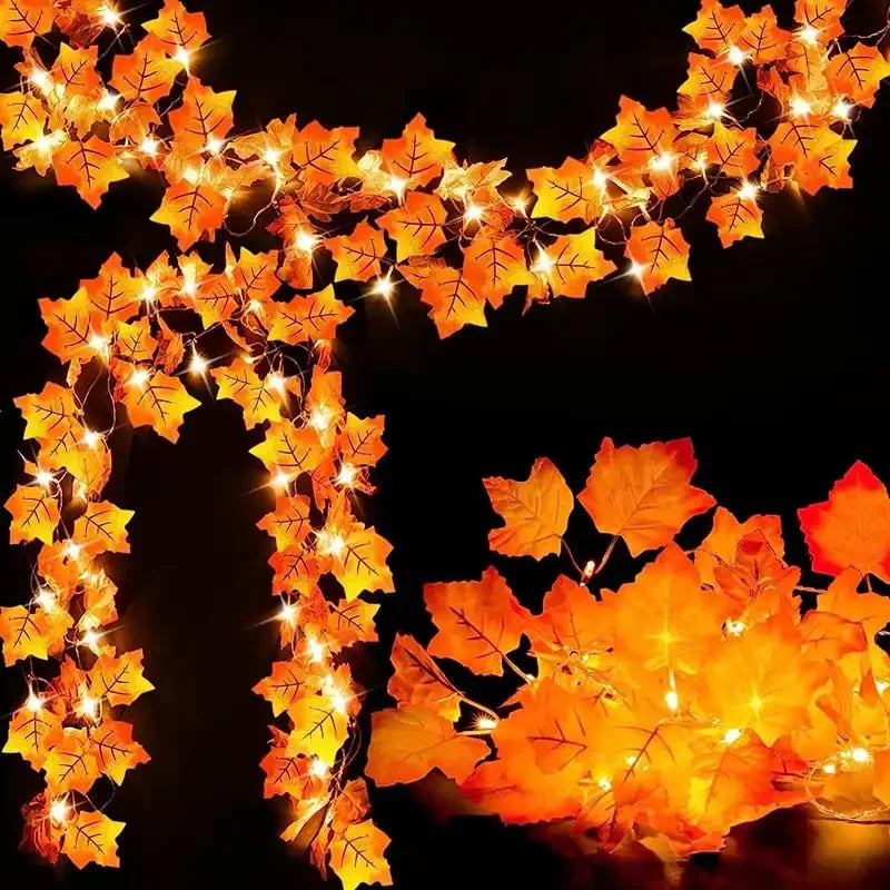 LED-lampjes Energiezuinig voor Gezellige Sfeer